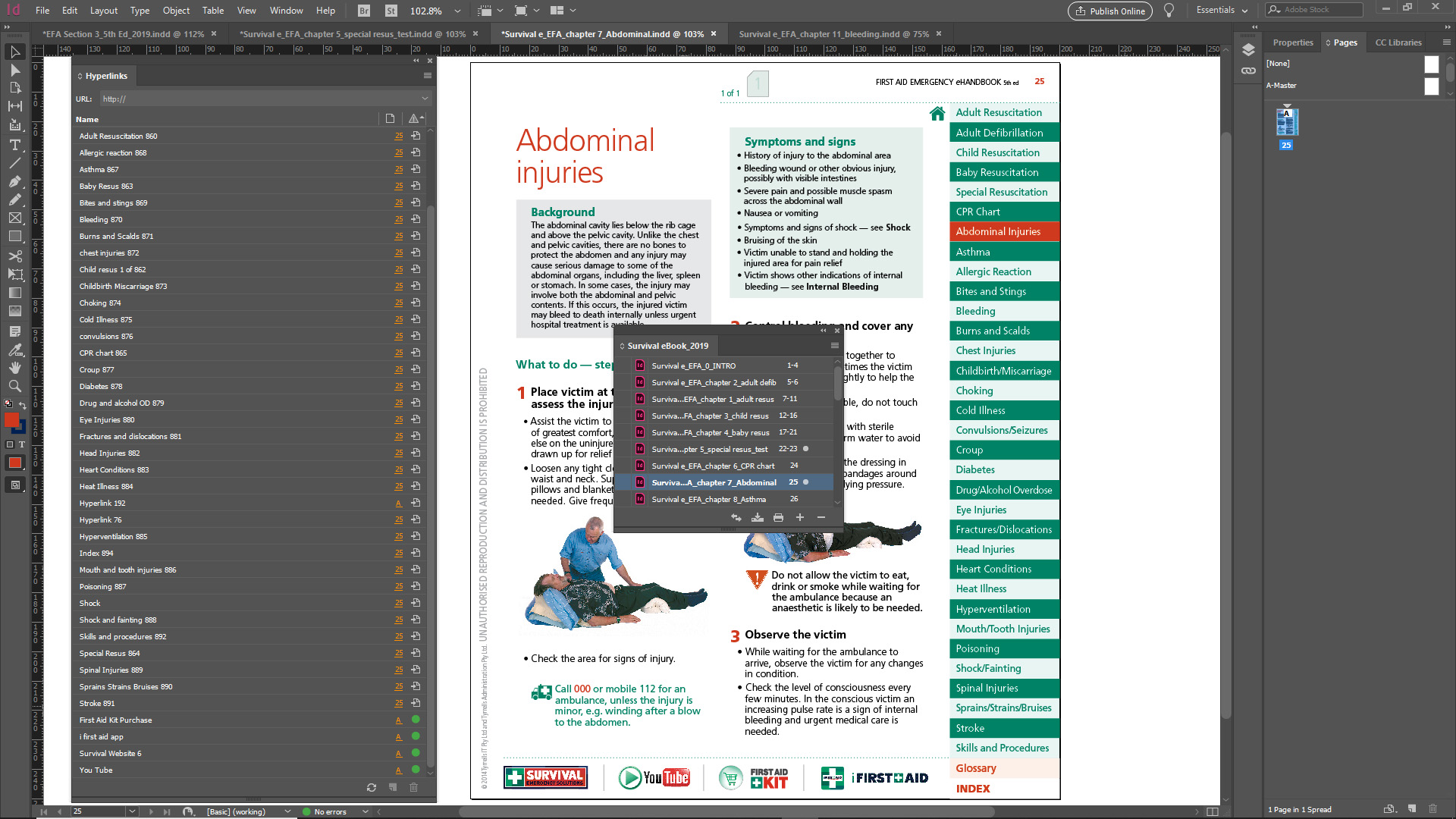 InDesign hyperlinks page view.jpg